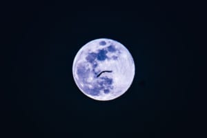 Full moon with a bat over Ambrai Ghat